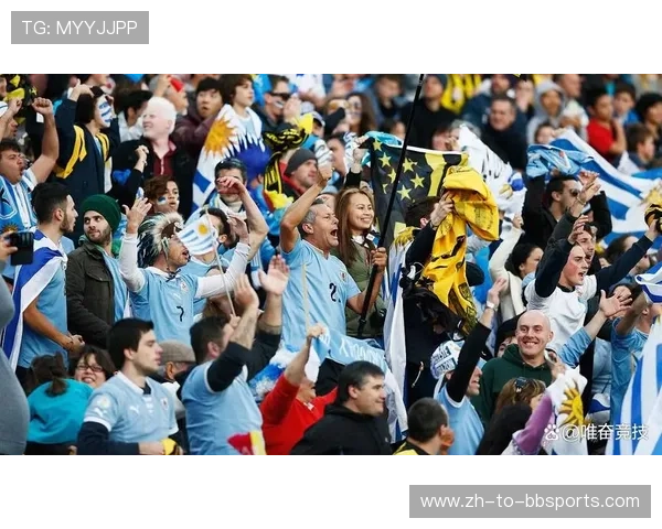 法甲赛季综合回顾报告：亮点球员与遗憾时刻