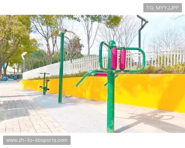 登台阶类健身器材使用效果与适用人群